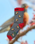 CHIRPY ROBIN ORGANIC COTTON KIDS SOCKS