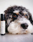 Natural Aromatherapy Rollerball For Dogs