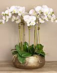 Faux White Orchid Arrangement In Matte Gold Planter