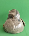 City Pigeon