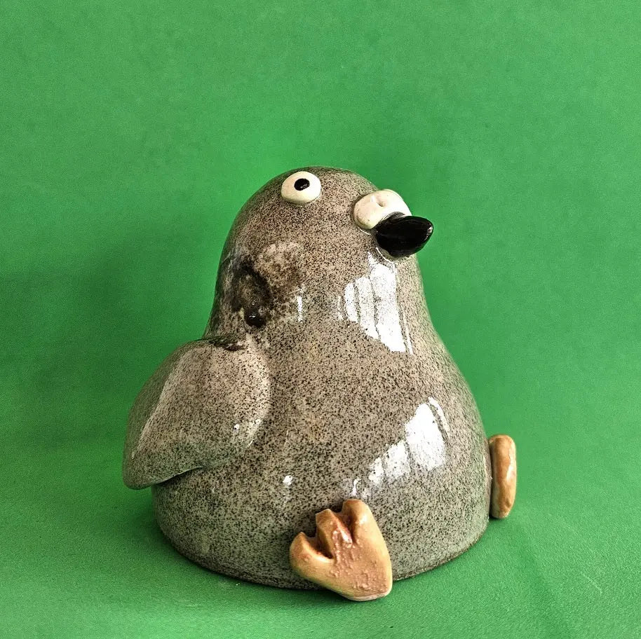 City Pigeon