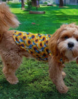 Sunflower Flutter Dog Cooling Vest