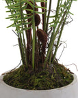 Large Potted Fern in Stone Effect Planter