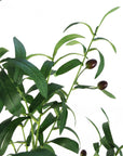 Artificial Olive Tree Bush UK Artificial Olive Tree-2