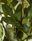 Large Green Hellebore in Taupe Pot Planter