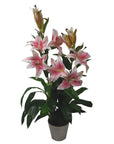 Artificial Flower Plant Tree 90cm Pink Lily 90cm Planter-4