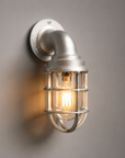 Beachamwell Raw Cast Swan Neck Wall Light - IP65