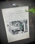 Framed Antique Anatomy Print 1920s Medical Book Plate Wall Art Picture C