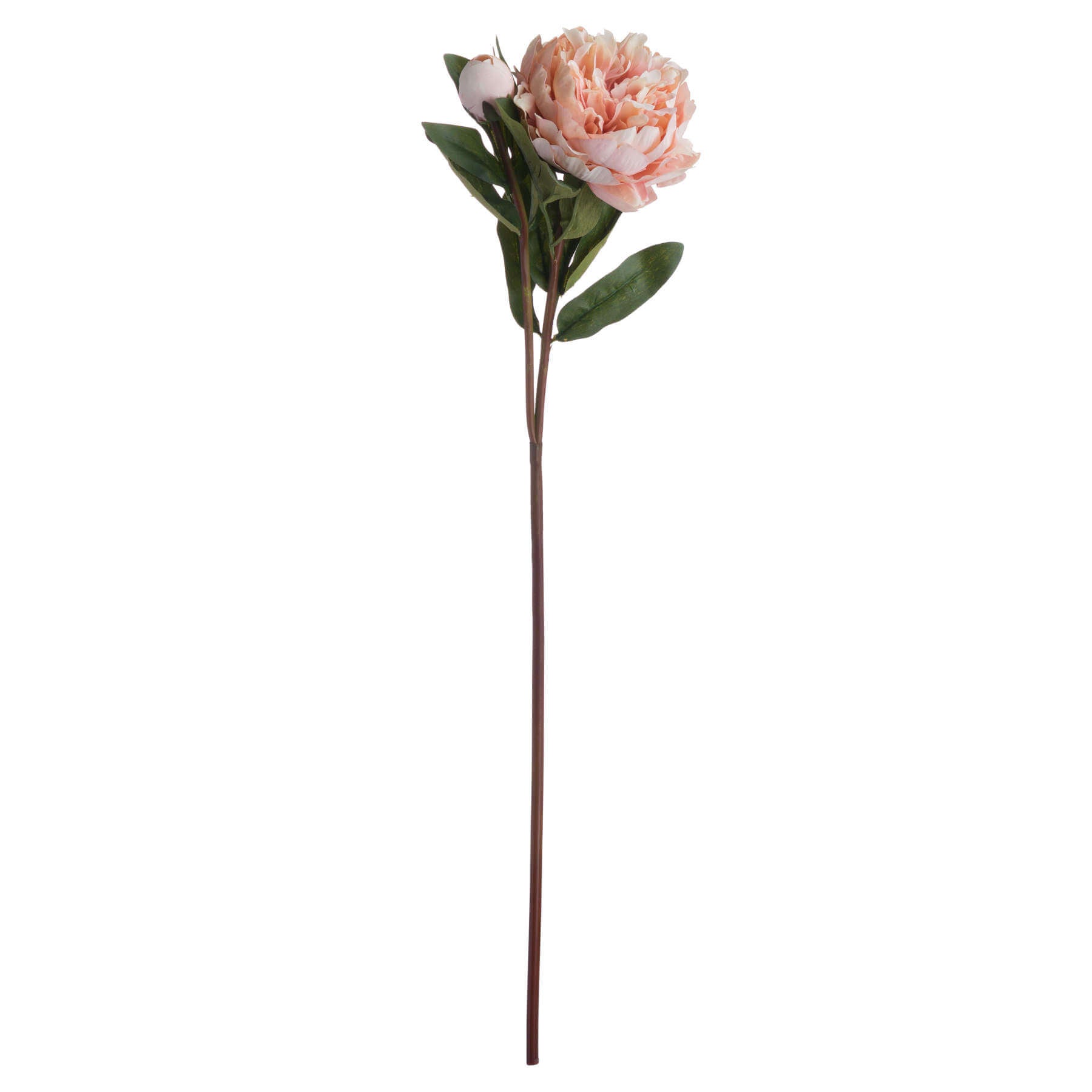 Blissful Peach Peony Rose Bouquet | Fresh Floral Elegance