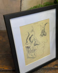 Victorian Anatomy Engraving – Antique Medical Print L