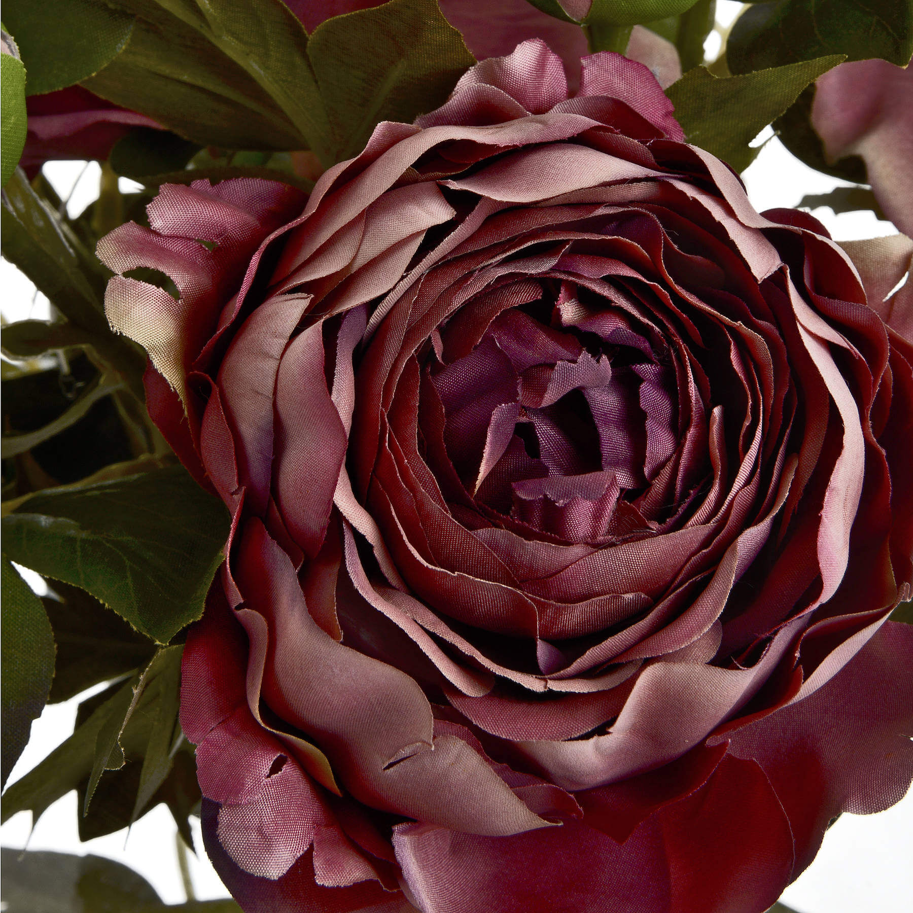Elegant Dusty Pink Peony Spray Rose | Romantic Blooms