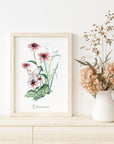 Echinacea Fairy Fine Art Print