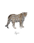 Jaguar Personalised Watercolour Fine Art Print