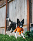 Holiday Classic Holiday Hound Turkey