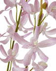 Lilac Cymbidium Faux Orchid Stem
