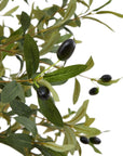 Tall Mediterranean Olive Tree Faux Plant