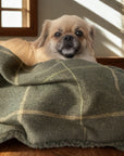 Arlo Forest Green Check Pet Blanket | Reversible Lambswool Sherpa | Handmade Luxury Dog Throw | Machine Washable UK