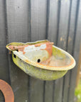 Wall Planters / Cattle Feeder / Hanging Basket / Herb Planter / Plant Pot