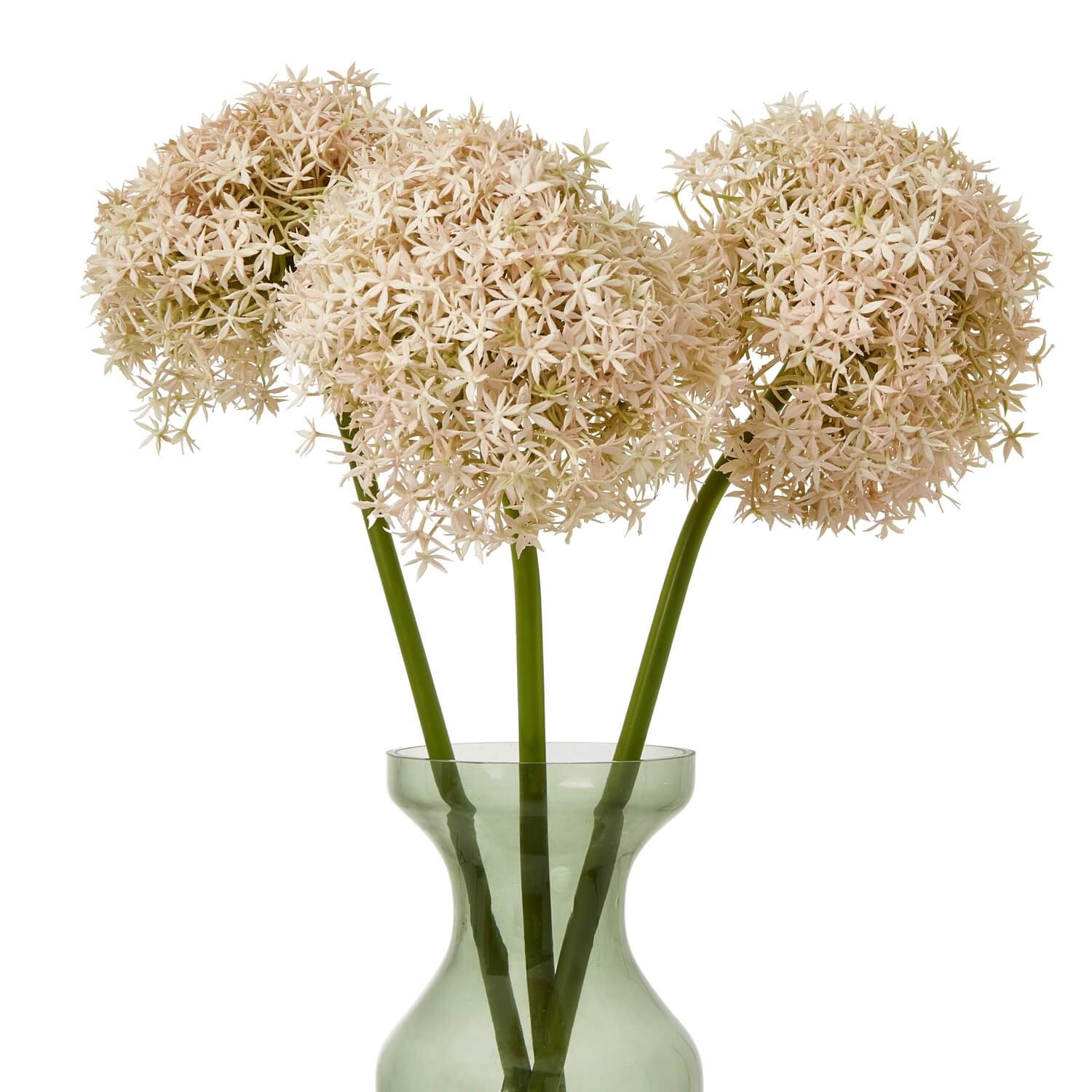 Pink Giant Allium Faux Flower Stem