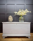 Antique Painted Blanket Chest Storage Trunk Bench Toy Shoe Storage TV Stand