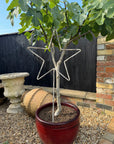 Garden Stars On Ground Spikes / Metal Star Ornaments / Lawn Decor