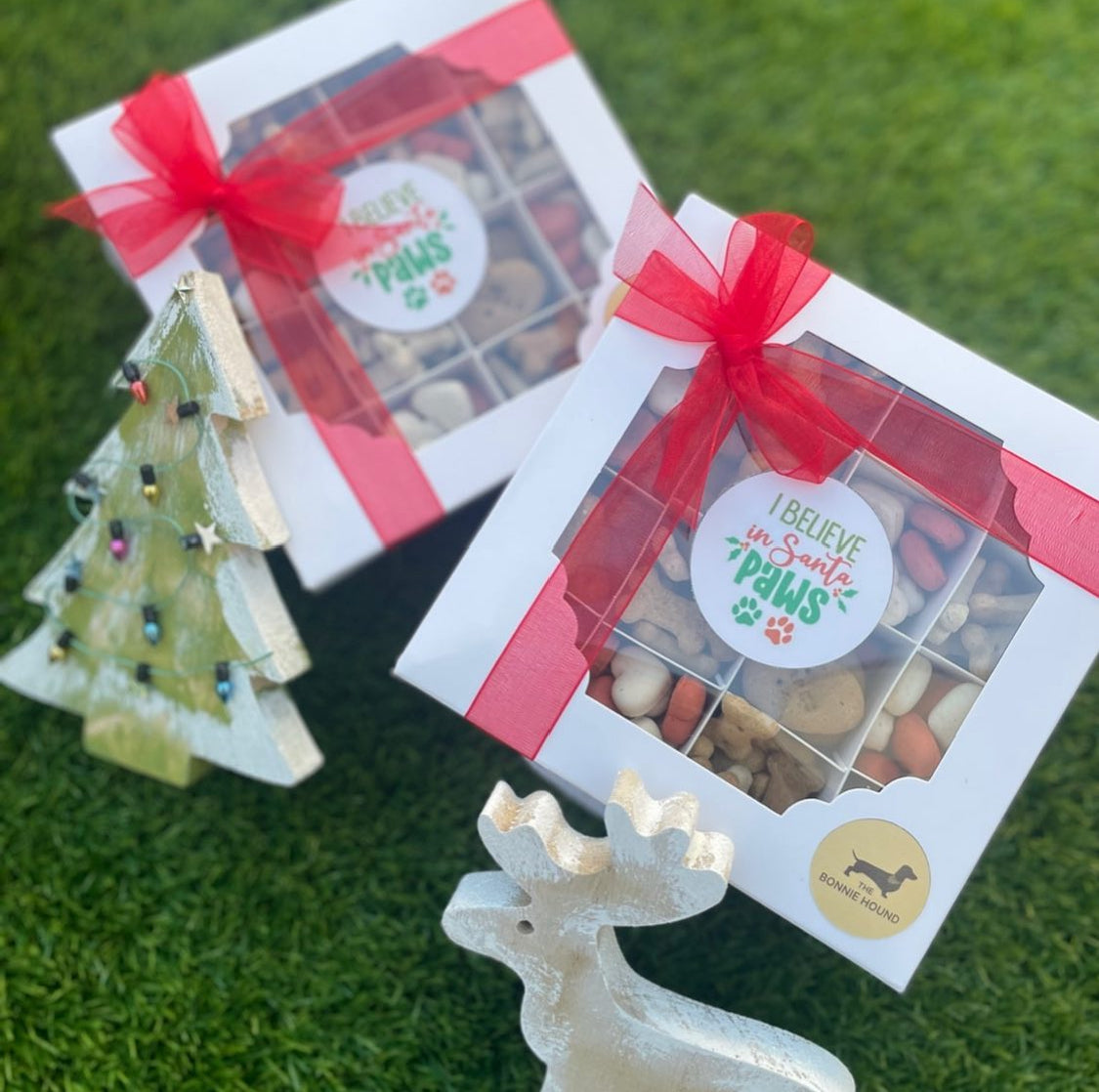 I Believe in Santa Paws Dog Biscuit Treat Box