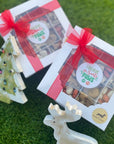 I Believe in Santa Paws Dog Biscuit Treat Box