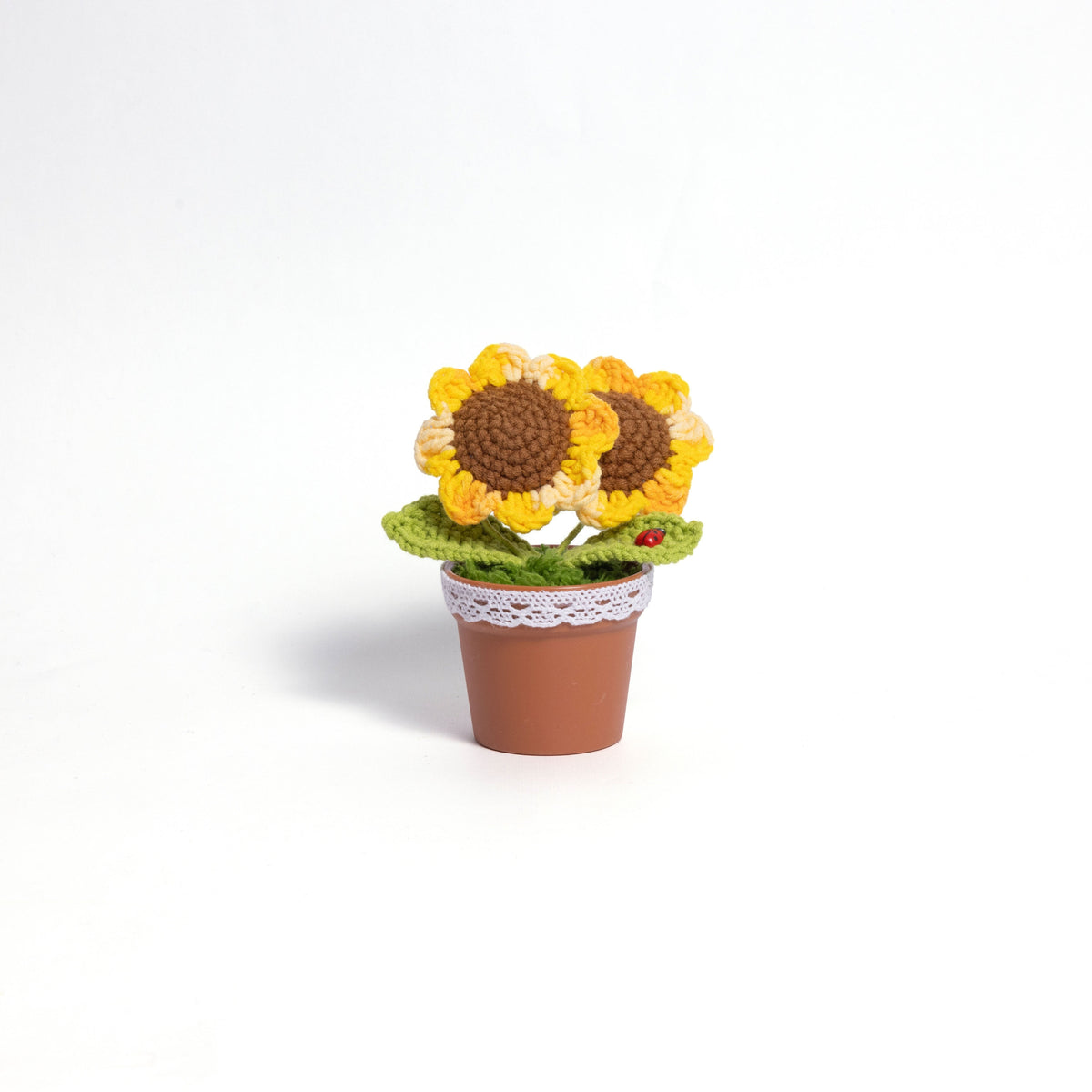 Forever Smile Sunflowers
