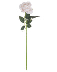 Soft Pastel Pink Tea Rose | Elegant & Romantic Blooms