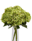Hand-painted green hydrangea artificial flowers in lifelike arrangement, perfect for home decor by sostter at brixbailey.com