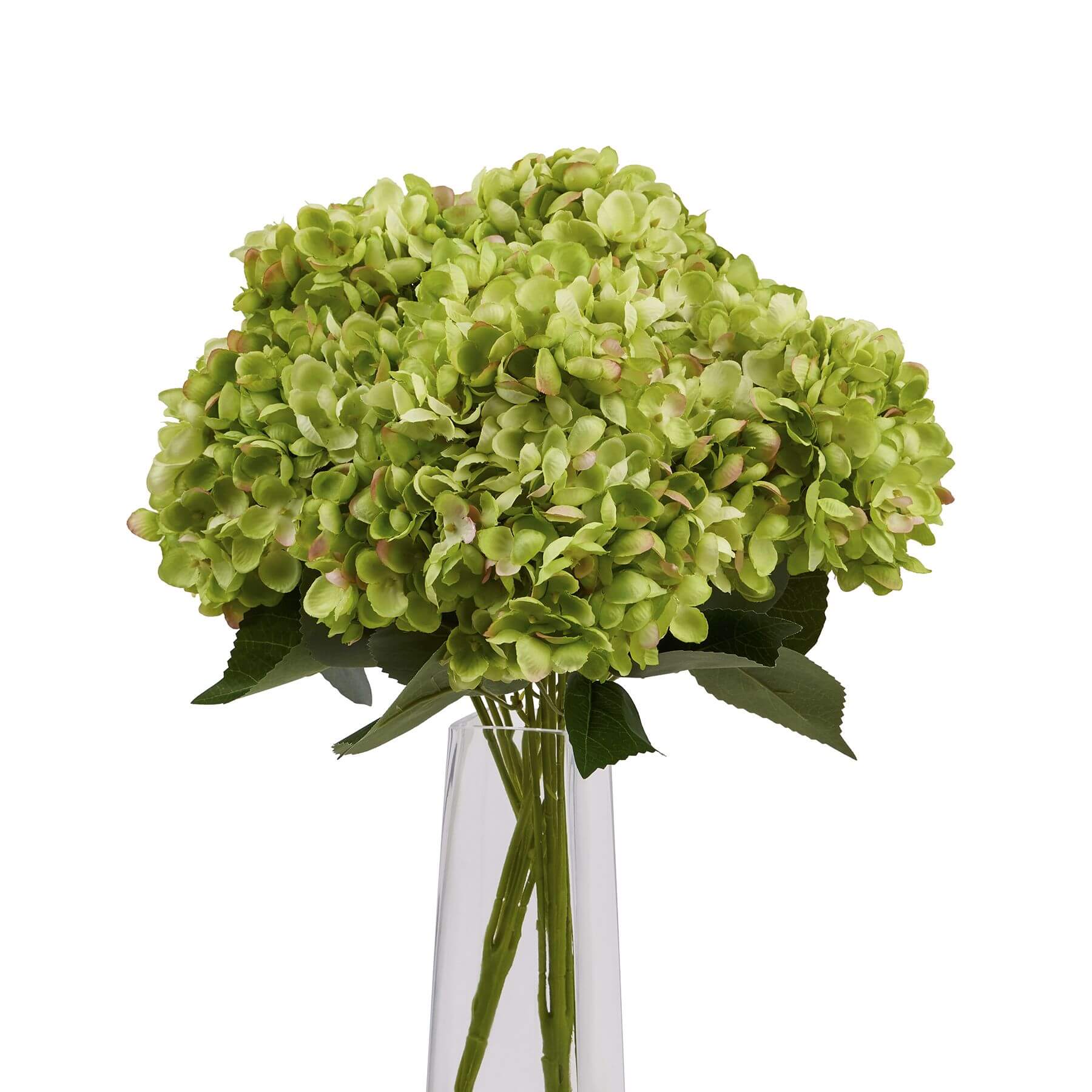 Lush Green Hydrangea Bouquet | Fresh Floral Decor