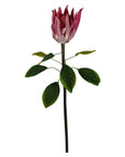 Pack of 6 x 65cm Protea Sugarbush Flower Stem - Pink-2