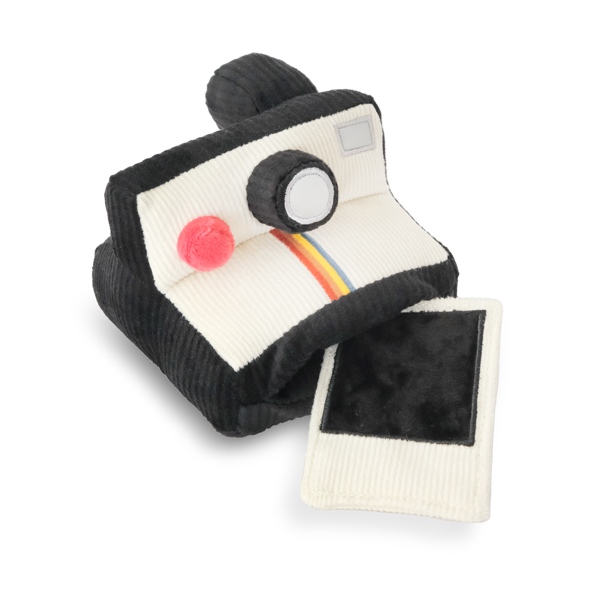 Instant Camera dog enrichment toy