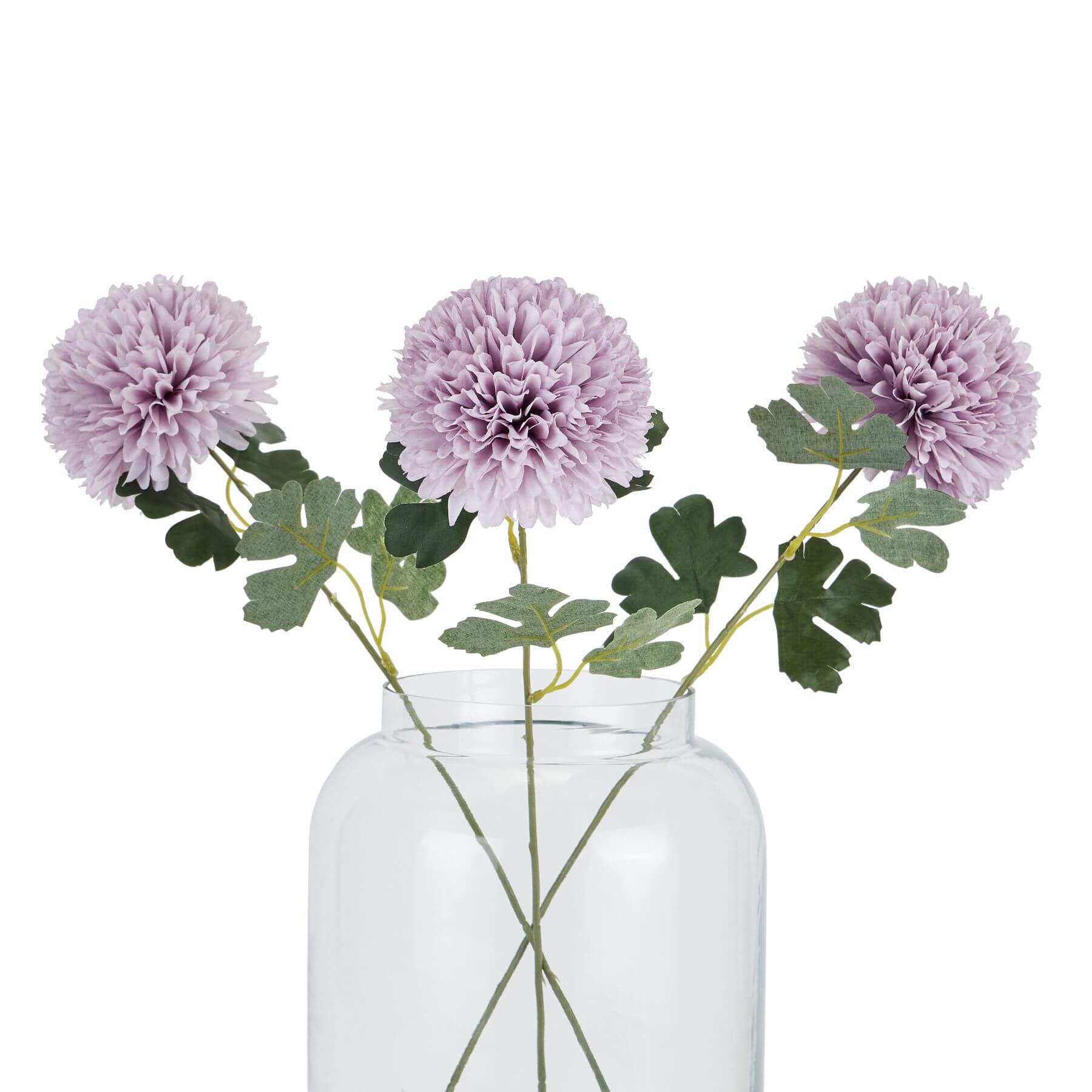 Purple Chrysanthemum Stem Forever in Bloom