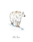 Polar Bear - Personalised Watercolour Fine Art Print