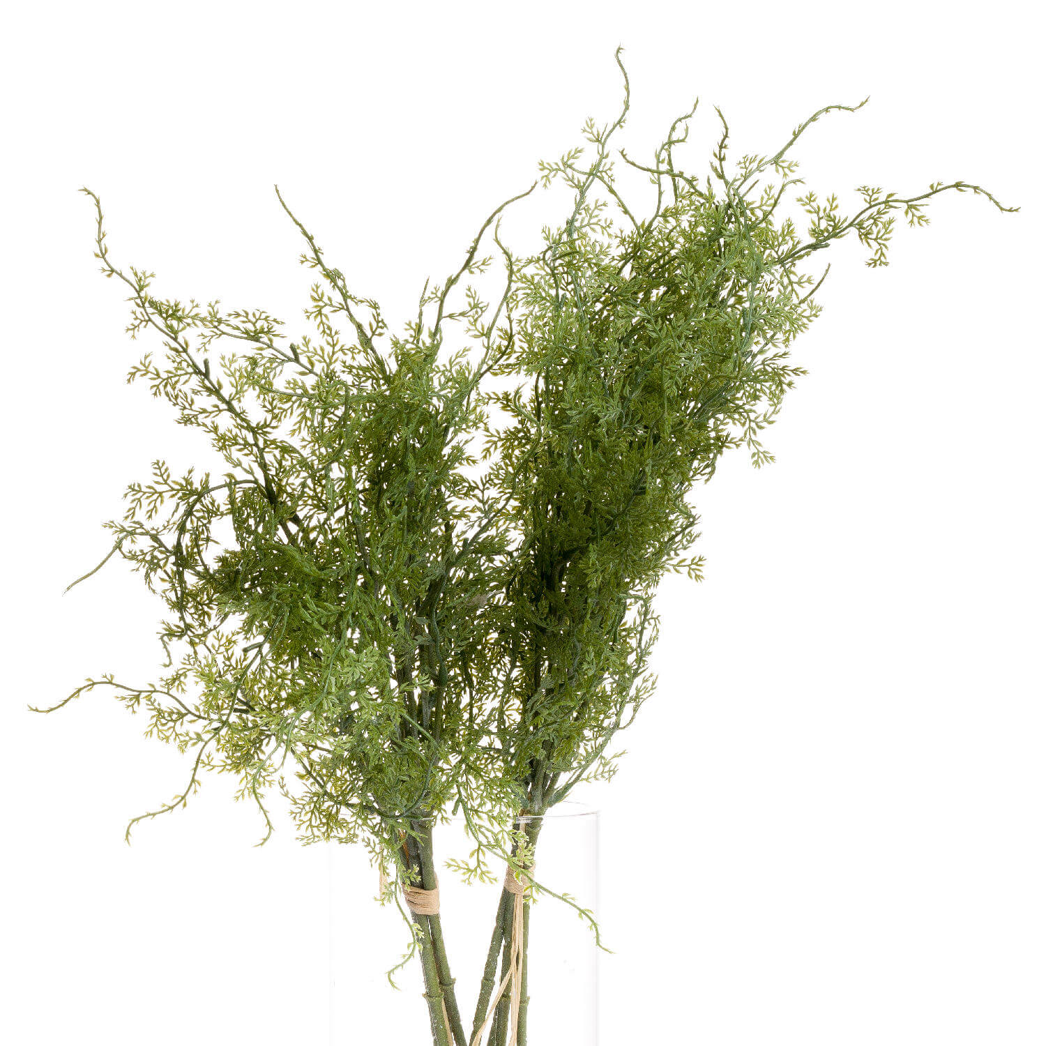 Fresh Asparagus Fern Bouquet | Lush Greenery Decor
