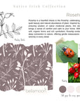 3-in-1 Pillow - Rosehip