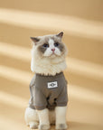 Sweatshirt with Metal Buckle