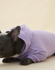 Hoodie with Slogan