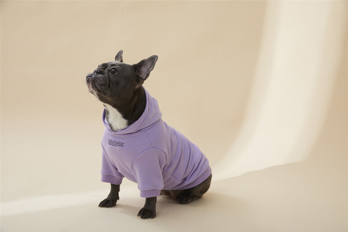 Hoodie with Slogan