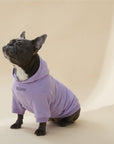 Hoodie with Slogan