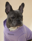 Hoodie with Slogan