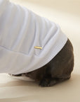 Sweatshirt with Metal Buckle