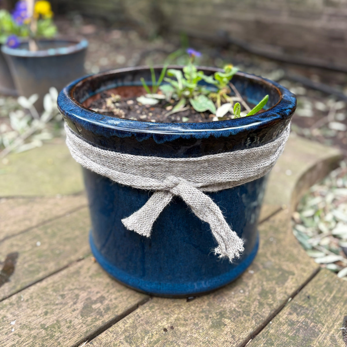 Wool Pot Scarf – Natural Snail &amp; Slug Barrier (5m Roll, 100% British Wool)