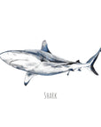 Personalised Shark Watercolour Fine Art Print