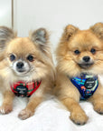 Tartan Me Up - Red & Cream Tartan Dog Snood