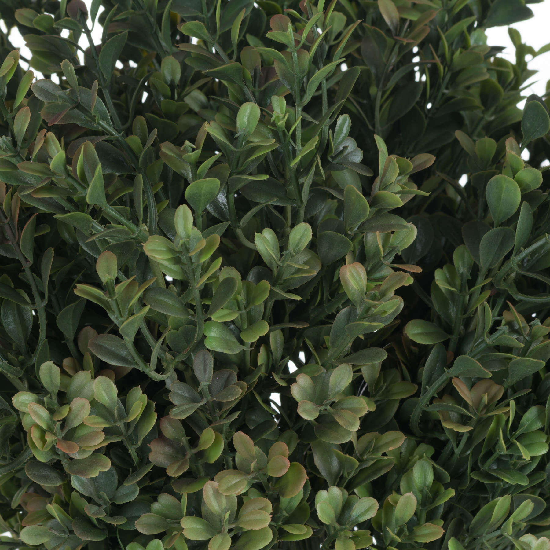Vibrant Red-Tipped Leaf Spray | Stunning Foliage Accent