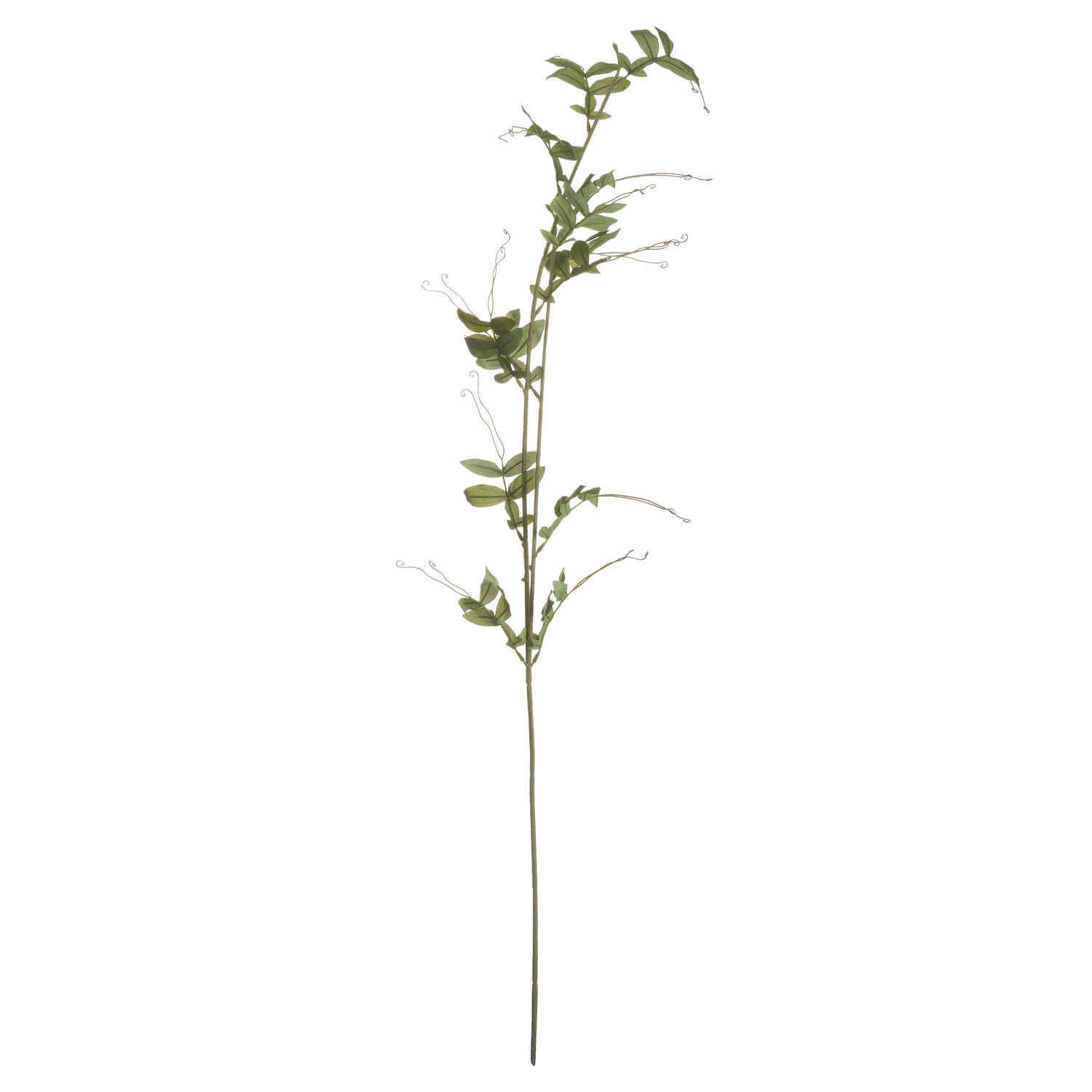 Sweet Pea Scented Trail Candle | Fresh Floral Aroma
