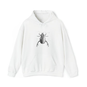 Graphic Insect Print Unisex Hooded Sweatshirt