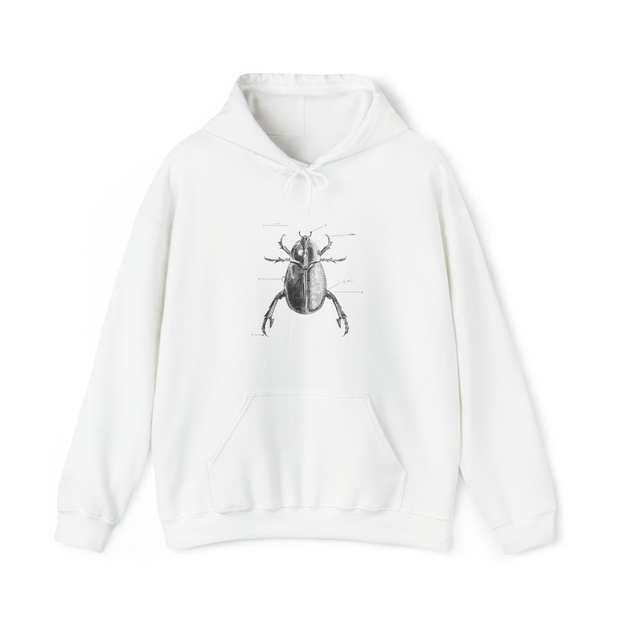 Graphic Insect Print Unisex Hooded Sweatshirt